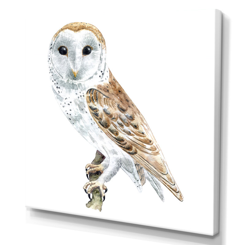 Portrait of a Barn Owl II - reproduction d'art sur toile traditionnelle, H 30 po x l 30 po x P 1 po, Toile tendue