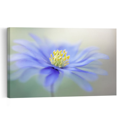 Blue Dreamy Bloom Delicate Dreamy Ethereal Flower Nature Wall Art Print by Jacky Parker - Print