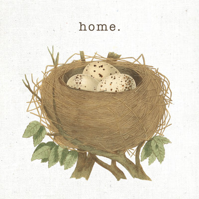 " Spring Nest II Home "