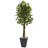 6.5ft. Ficus Artificial Tree with Slate Planter, UV Resistant (Indoor/Outdoor)
