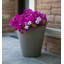 Self-Watering Concrete Pot Planter-1387001346-1387001349