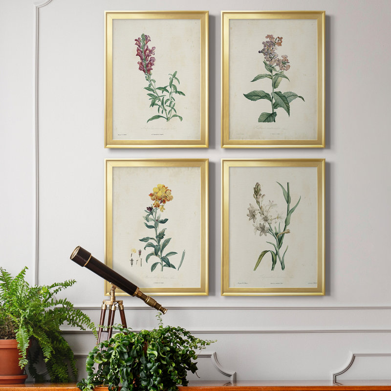 Traditional Botanical I - Ensemble de 4 peintures sur toile encadrées, H 36,5 po x l 106 po x P 1 po, Or