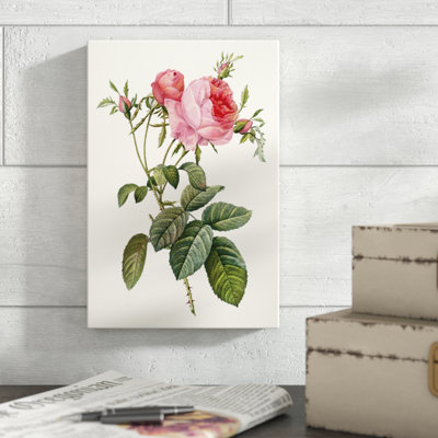 Redoute's Rose II by Pierre Redoute - Painting Print
