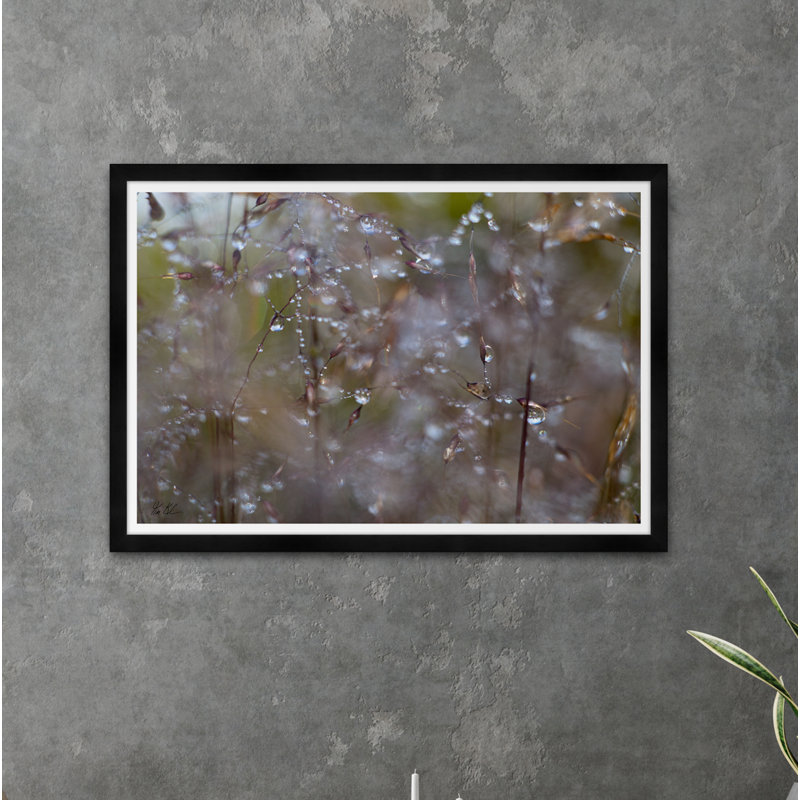Dew Drops