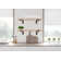 Emerald Lee 2 Piece Oak Bracket Shelf