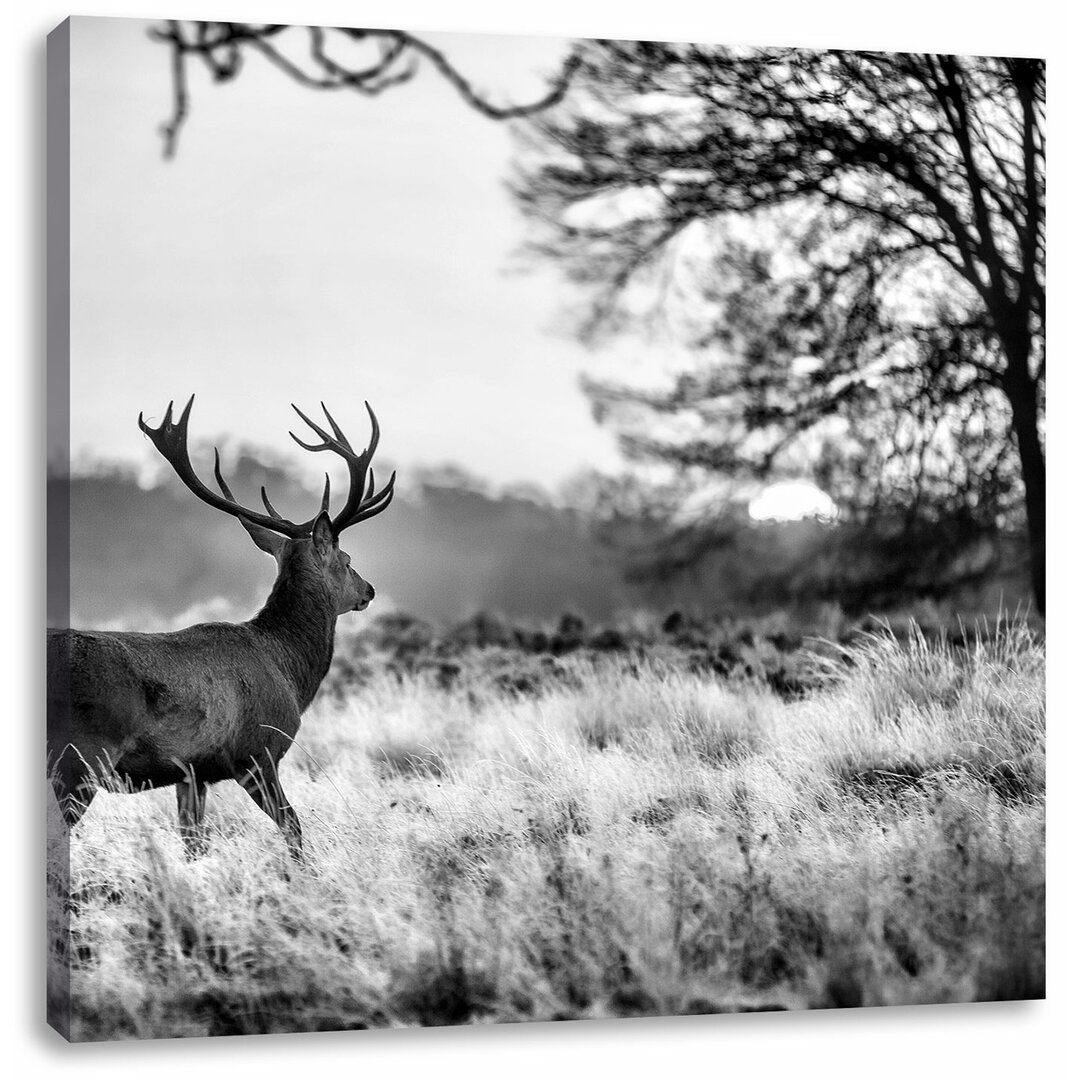 Leinwandbild Hirsch im Sonnenuntergang