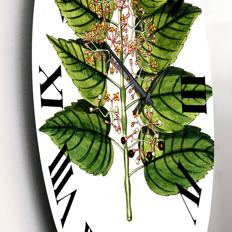 Vintage Plant Life XXVI - Traditional Wall Clock, Small