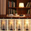 Ensemble de 2 lampes de table à DEL rechargeables sans fil avec gradateur continu à 4 niveaux, veilleuse de bureau portable pour la chambre à coucher, la salle à manger, le bureau et le patio