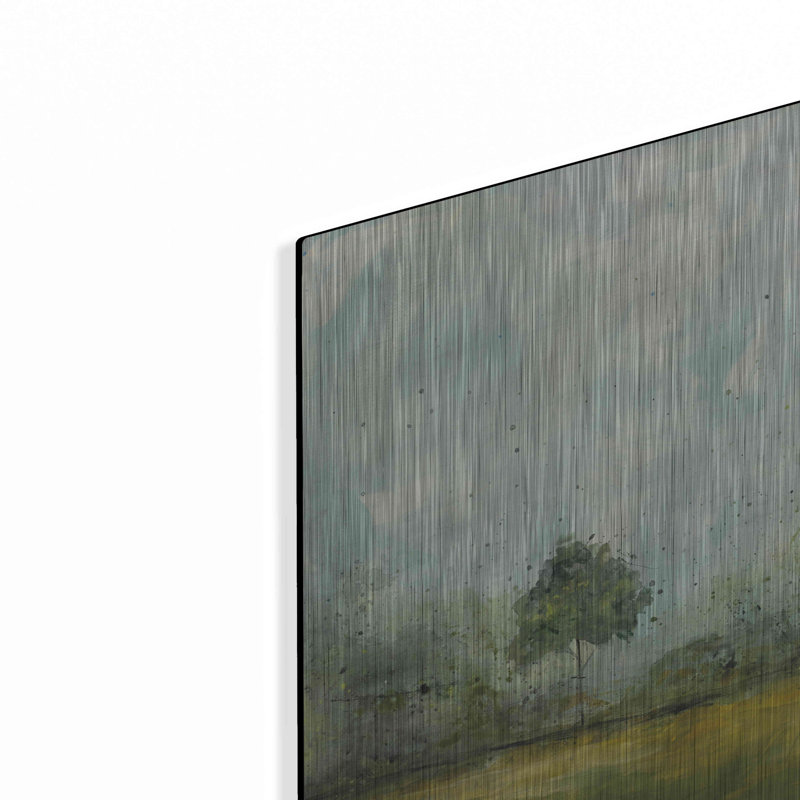 Winston Porter 'Spring Walk by Courtney Prahl, Metal Wall Art, 36"x24", H 12 po x l 16 po