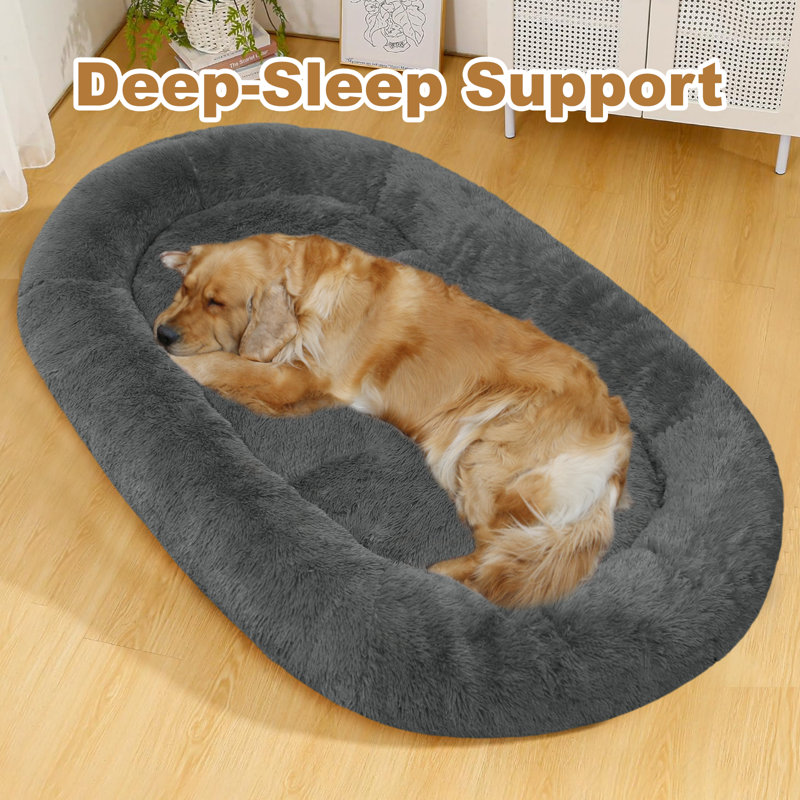 Lit pour chien humain pour adulte avec grand lit Gain pour animaux de compagnie, gris foncé, Gris foncé