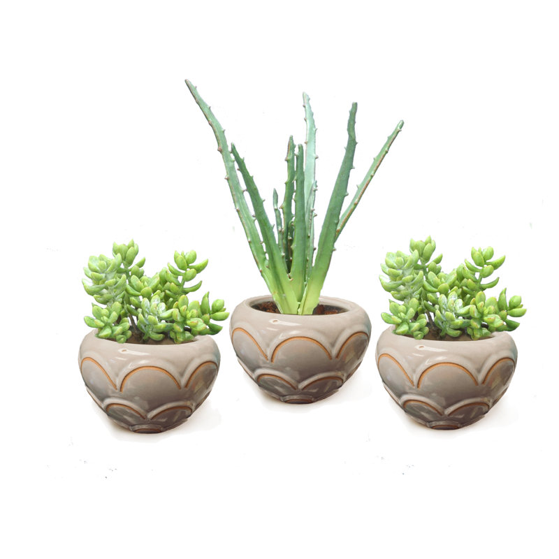 5'' Faux Succulent in Ceramic Planter