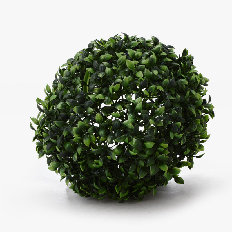Topiaire buis ball plante
