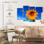 Harnek Lone Sunflower