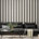 Black Striped