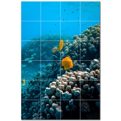 Corail photo 12 x 12