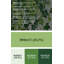 Art mural en métal Botanical Ivy Green-940864078