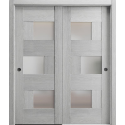 Sliding Closet Bypass Doors | Sete 6933 Matte Black With Frosted Glass | Wood Solid Bedroom Wardrobe Doors -  VDomDoors, SETE6933DBD-OAK-48