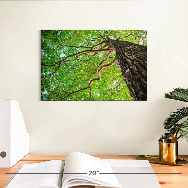 Harnek Tree Branches