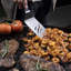 Blackstone 5 Piece Professional Grade Griddle Toolkit
