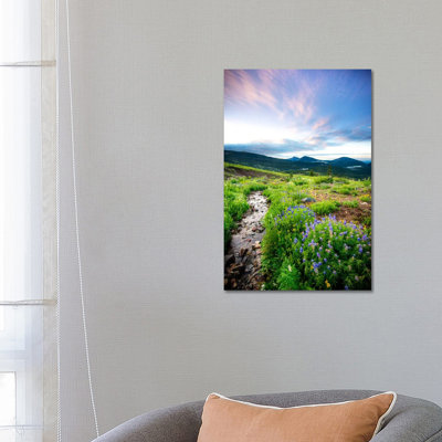 Crested Butte Stream by Dan Ballard - Wrapped Canvas Print