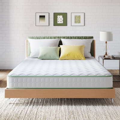 Wayfair Sleep 8" Medium Innerspring Mattress