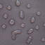 DUCKCOVERS Ultimate Waterproof Outdoor Loveseat and Sofa Cover-70799777