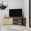 TV Stand with Shelves and Cabinet Dion-1047533620