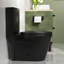 Toilette allongée moderne monobloc Ace 1,6 GPF-111041675-88234900
