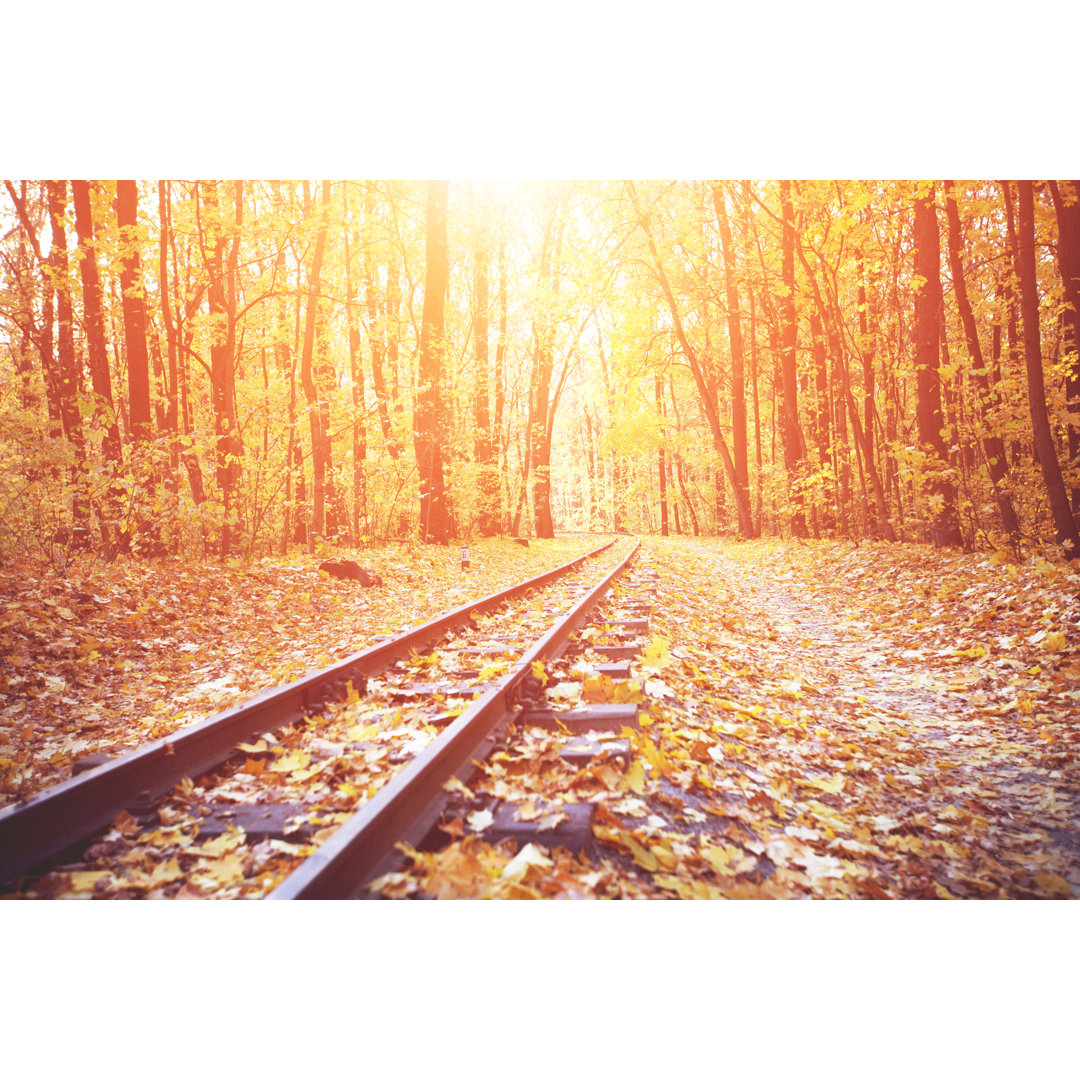 Autumn Railroad von Aleksle - Wrapped Canvas Set