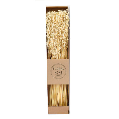 Natural Fibres Dried Oats Arrangement