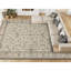 Elegance Oriental Area Rug in Ivory