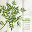 Arbre Nandina artificiel 5/6 / 7ft en pot - Faux plante de sol avec pot de fleurs blanc pour la décoration de bureau personnel-1096903639
