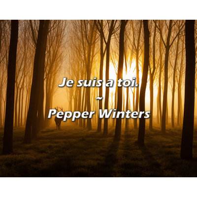 Pepper Winters Quote: Je suis a toi.