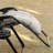 Zero Gravity Chair, Folding Reclining Lounge Chair With Padded Cushion, Side Tray For Indoor And Outdoor, Supports Up To 264Lbs-496797794