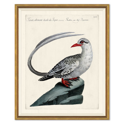Odd Birds " Odd Birds " by Soicher Marin Archives