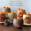 Ensemble de 12 porte-bougies Thanksgiving Votive