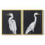 Impression encadrée Calm Great Egret I-Premium - prête à être accrochée - aucun clou requis - aucun clou requis-1282872707-1282872732