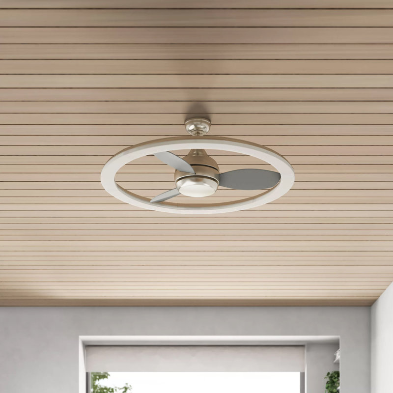 Ventilateur de plafond à cage de 39,37 po à 3 pales avec commande murale et ensemble d'éclairage inclus Violetta