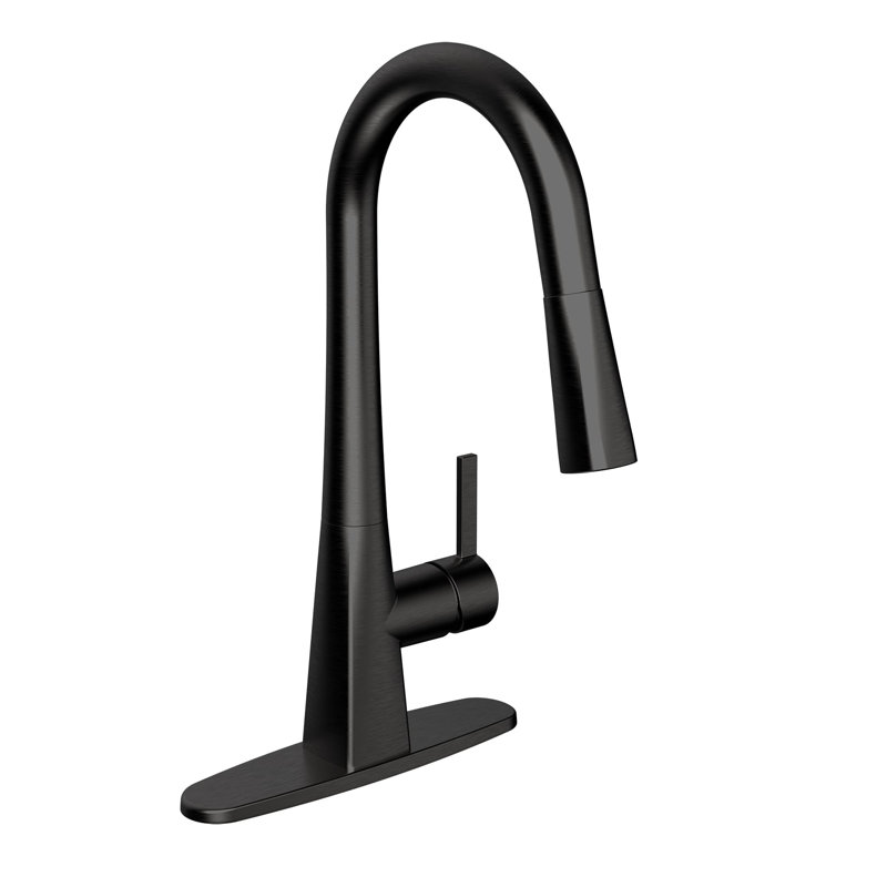 Robinet de cuisine à poignée simple Belanger, Acier inoxydable noir