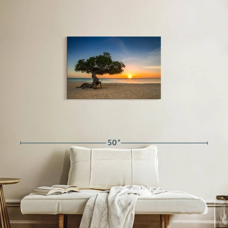 Arbre Gillard Aruba Divi Divi, H 20 po x l 30 po