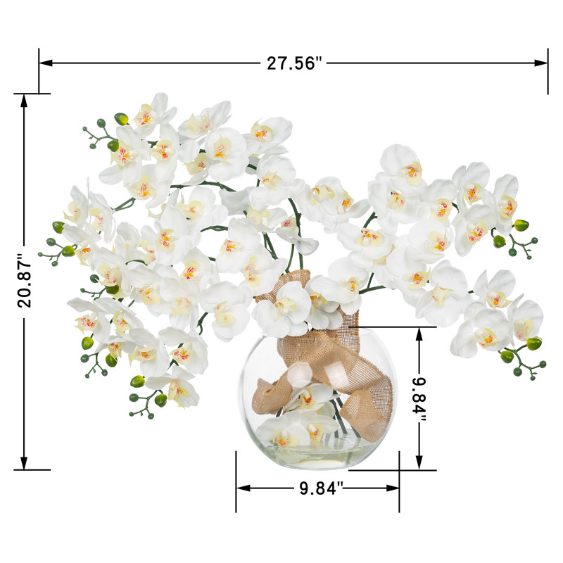 Arrangement floral orchidée liquide Phalaenopsis dans un vase