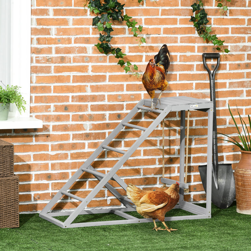 Chicken Coop Delight - Grey With Hen & Perches Enjoyment Encourages Movement