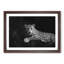 Leopard - Picture Frame Graphic Art Print-56859841-56859838