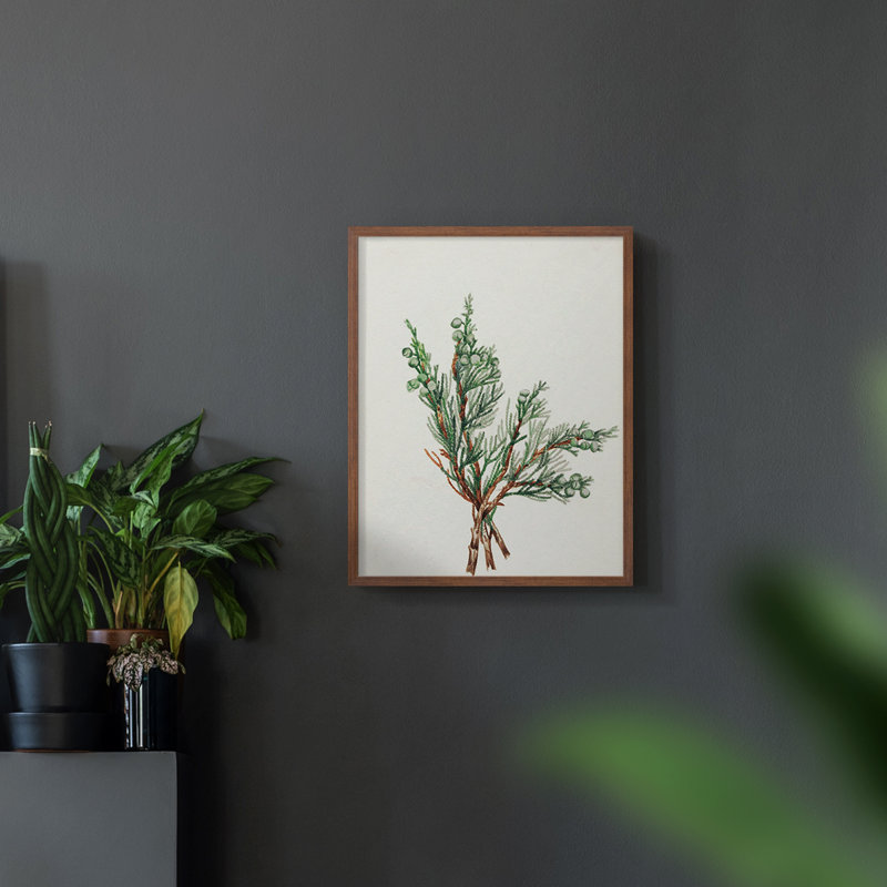 sur papier, Noyer, H 14 po x l 11 po