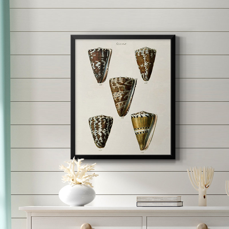 Toile encadrée de qualité supérieure Cone Shell Collection V - prête à être accrochée, Noir, H 24 po x l 20 po