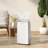 Dehumidifier