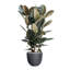 Pot à fleur Dorlis Fiberstone-809609163-881441044