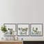 Ensemble de 3 reproductions d’art sur papier encadrée « sunflower collection » par marmont hill-65182481