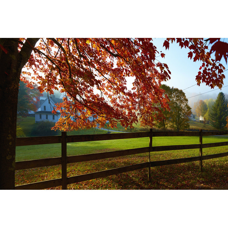 Farm & Country IX 1 Piece Wrapped Canvas Wall Art, 30cm H x 46cm W