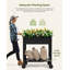 Jardinière brouette-123236388